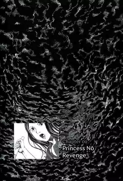 Princess of the Never Ending Castle