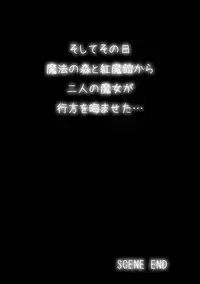 [NeoSeporium (Hinoshima Sora)] Kougyaku Majo Yakai (Touhou Project) [Digital]