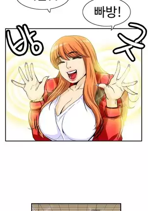 Chauffeur Service Ch.1-30.5