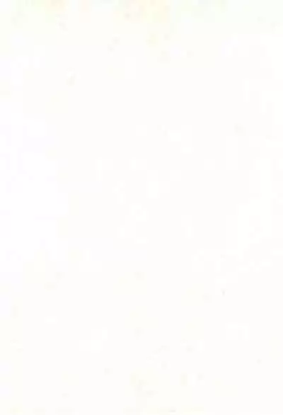 (C62) [Totocal LAND (Watase Hiroko)] FLOWER (Digimon Tamers)