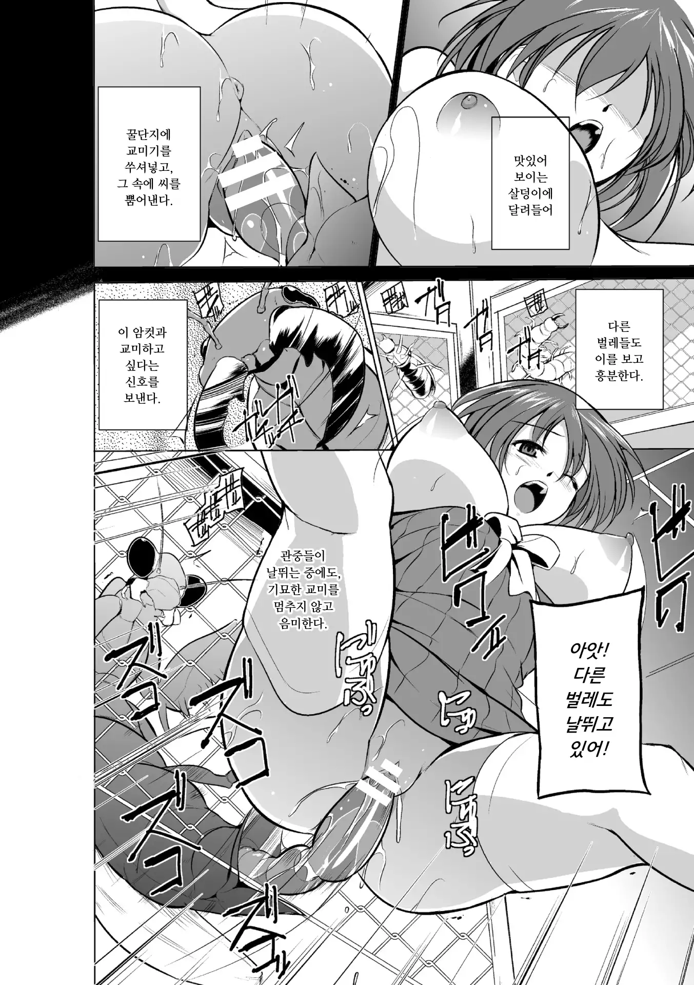 Mushi Asobi | 벌레유희