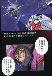 (C74) [HenReiKai (Kawarajima Koh)] SEED ANOTHER CENTURY D.E 6 (Gundam SEED)