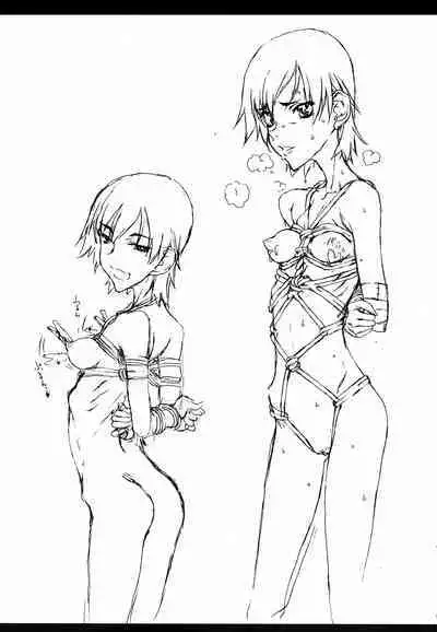 Bakemonogatari Hon Soushuuhen