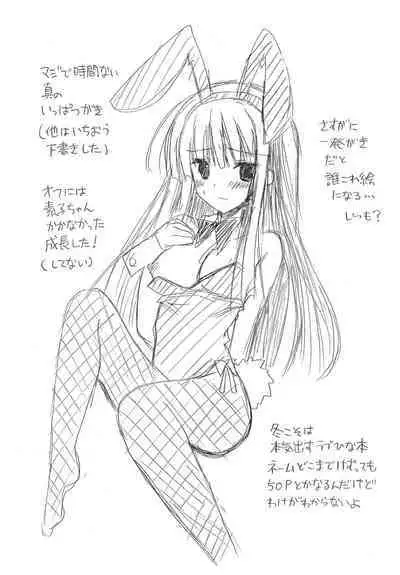 (C80) [Hachimitsu Himawari (Kozakura Ryou)] 2011 Summer Omake-bon (Various)