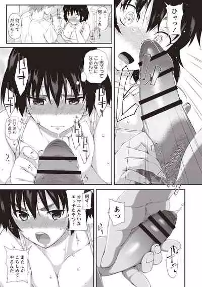 Himitsu no Shoujo Seiheki