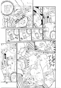 [IRIE YAMAZAKI] Princess File