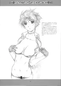 (C65) [STUDIO N.BALL (Haritama Hiroki)] monochrome splendor Omake no Hon