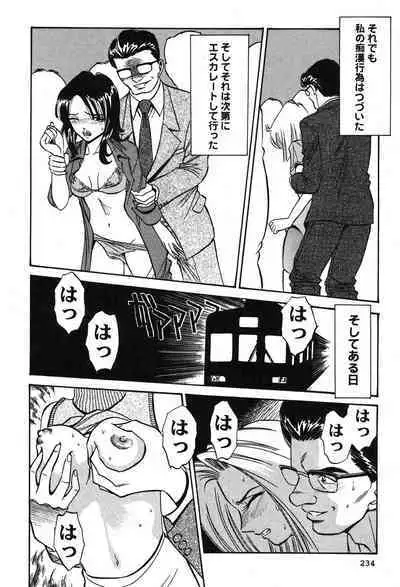 Melty Moon Kogetsu Hen - A woman falls in the evening of the moonlight night.