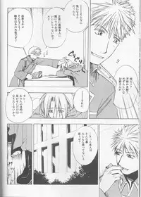 [milano (Shimotsuki Sakuya)] Beauty and The beast -mirror in world- (Fullmetal Alchemist)