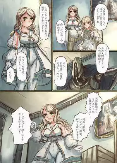 Shokushu-chan ga Bishoujo o Tsukamaete Ningyo Dorei ni Kaizou suru Hon