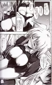 (C81) [IV VA SHIN (Mikuni Mizuki)] Home Sweet Home ~Fate hen 2~ (Mahou Shoujo Lyrical Nanoha)