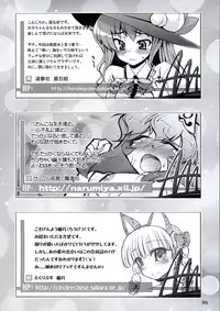 (C75) [Narumiya (Various)] All About AAA (Touhou Project)