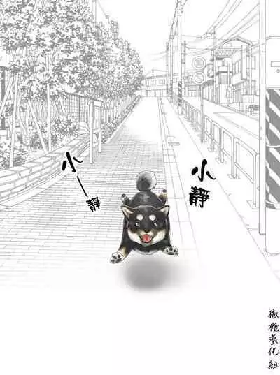 [usa]静山夫妇[中文] [橄榄汉化组]