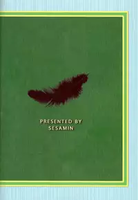 [Sesamin] an (Princess Tutu) [English] [Tigoris Translates]