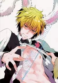 (CCOsaka79) [Zerohaku (Fuji Mako)] BUKURO No Shizuusagi (Durarara!!)