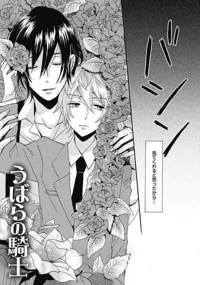 Bishonure Hatsutaiken