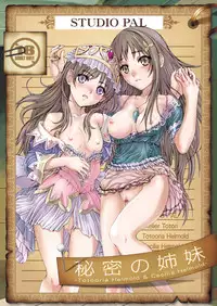 [STUDIO PAL (Nanno Koto)] Himitsu no Shimai (Atelier Totori) [Digital]