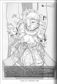 (C67) [NP Virus Jouryuusho (N-P-KATOU)] Mithman Report FILE:00-FILE:15 (Final Fantasy XI)