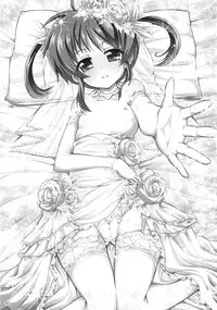 (C82) [Senya Sabou (alpha-Alf Layla, Akitsuchi Shien, Mesiyama)] Nanofei -Lyrical wedding (Mahou Shoujo Lyrical Nanoha)