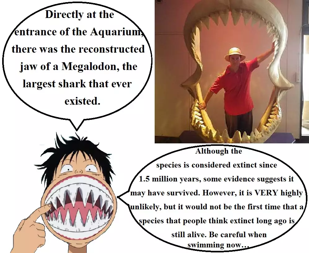 Expedition One Piece English