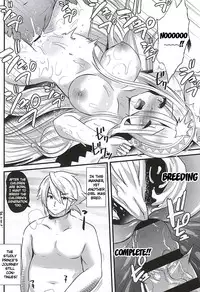 (SC2015 Autumn) [Funi Funi Lab, Bronco Hitoritabi (Various)] MIDNIGHT PRINCESSES (Fire Emblem if) [English] {doujin-moe.us}