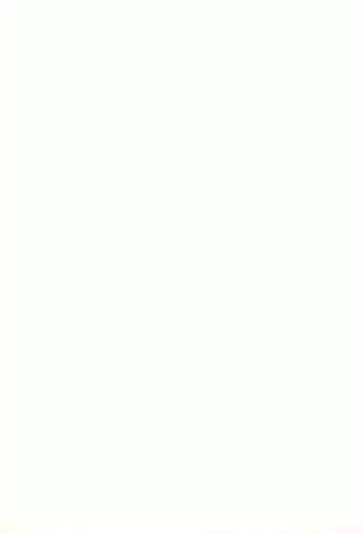 (C74) [Studio Abuno Culture (Hara Hiroshi)] Kamitsuki