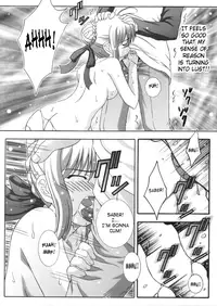 (C66) [Studio Wallaby (Takana Yu-ki)] Secret file next 10 I feel my Fate (Fate/stay night) [English] [SaHa]