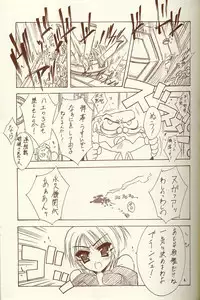 (C62) [BLUE GARNET (Serizawa Katsumi)] BLUE GARNET XIV SKY (SKYGUNNER)