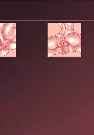 Nyia no hakobune ~ ranshi 20 man-ko o subete tsukaikiru made renzoku tairyo shussan