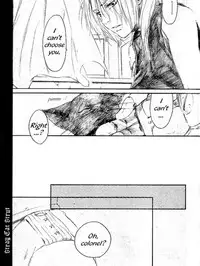 [NINEKOKS (Kyuugou)] Stray Cat Strut #5.5 (Full Metal Alchemist) [English]