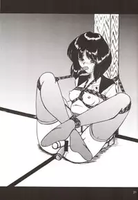 (C70) [Thirty Saver Street 2D Shooting (Maki Hideto, Sawara Kazumitsu)] Silent Saturn SS vol. 9 (Bishoujo Senshi Sailor Moon)