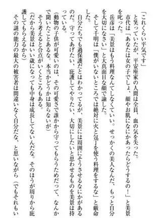 年上メイドの新婚日記