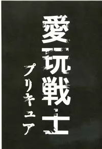 (C85) [Yamada Ichizoku. (Fukurokouji, Mokyu)] Aigan Senshi (Dokidoki! Precure)