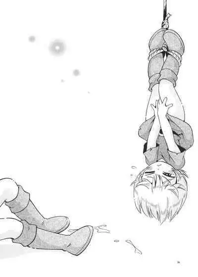 [Puchi-ya (Hoshino Fuuta)] Toraware Hime Soushuuhen [Digital] [Chinese] [真不可视汉化]