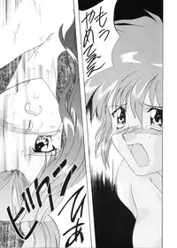 [Yasyokutei (Akazaki Yasuma)] JEWELRY ANGEL EX (Psychic Force)