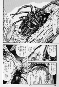 [Kondom] Fairie Fetish