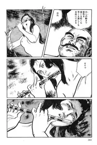 [Koike Kazuo, Kojima Goseki] Hanzou no Mon Vol.12