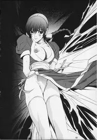 [From Japan (Various)] FIGHTERS GIGAMIX FGM Vol.11 (Dead or Alive, Kamen Rider)