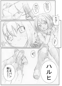 [Chanko Nabe] Suzumiya Ha○hi no ( ゜Д゜) Haa？ (Various)