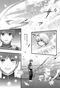 (J.GARDEN 45) [Natsukanmi (Ko-ri Azuki)] Utachi no Sahou