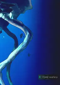 (Ware, Yasen ni Totsunyuu su! 2) [Hoshino Seikaten (Hoshino Ichiyoru)] Echo (Kantai Collection -KanColle-) [Chinese] [CE汉化组]