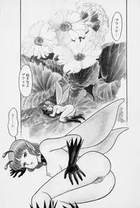 [Kondom] Fairie Fetish