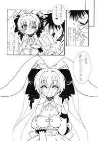 [PH-Bu] pretty Beam!