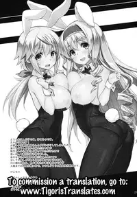 (SC61) [CHIBIKKO KINGDOM (Kekocha)] ONE night SUMMER (Infinite Stratos) [English] {Tigoris Translates}