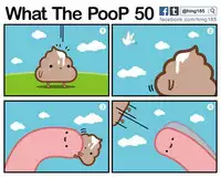 What the PooP [On Going]