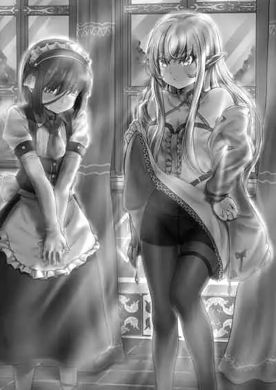 Cover + illustration