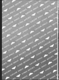 (Puniket 22) [Hitomaron (Setouchi Sumako)] Pantsu to Zubon no Kyoukaisen 2 (Strike Witches)