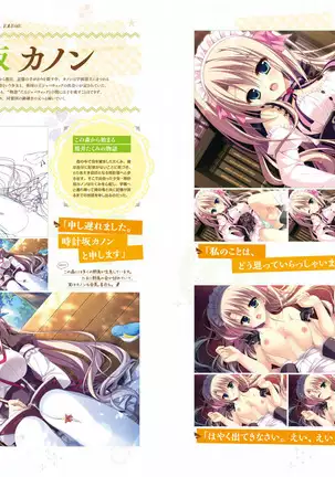 Majo Koi Nikki - Visual Fanbook