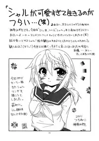 [Red Ribbon Revenger (Hayama, Kamihara Mizuki, Makoushi)] Ore to Char ga Konna ni Midareru Wake ga nai (IS <Infinite Stratos>)