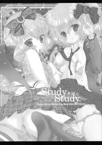 (Reitaisai 10) [Setoran (Itou Seto, Tanno Ran)] Study Study (Touhou Project)